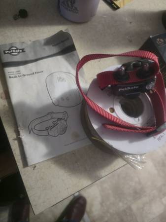 Dog shock collar system 1