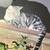 Missing Cat 2 thumbnail