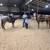 Horse Training/Breaking 2 thumbnail