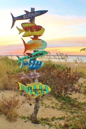 $1.400 / 1 dormitorio - 600 pies cuadrados - Relajarse y asar a la parrilla en la playa - Apartamentos Surfrider Bayfront (1242 West Ocean View Avenue)63169613015299121