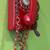 Mid-century 1958 Red Western Electric wall rotary telephone 2 thumbnail
