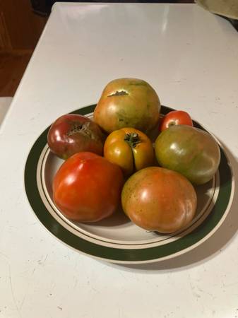 Vegetables - $2 (Seminary)62926966716289120