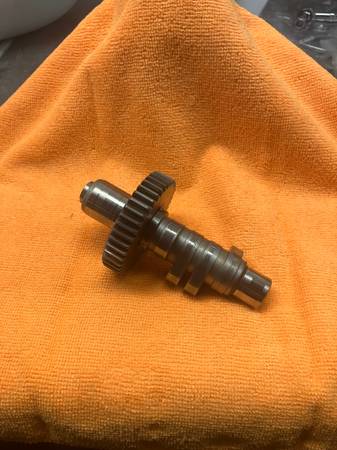 (((((Harley cam)))) 1