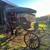 Beautiful Winesburg Carriage/Surrey 8 thumbnail