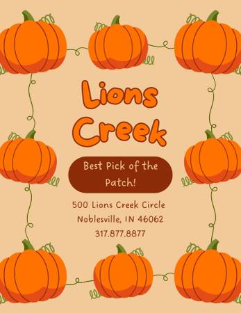 $1,646 / 3br - 1136ft2 - Best Pick of the Patch at Lion's Creek! (NOBLESVILLE)63989076867843120