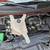 2010 Chevy Express Cargo Van 11 thumbnail