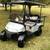 RXV Electric Cart 1 thumbnail