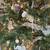 6' pre-lit holiday tree 7 thumbnail