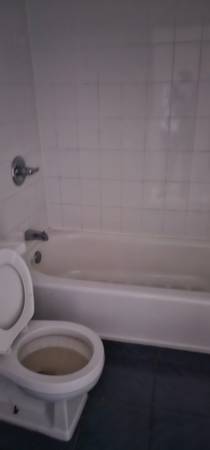 $1,695 / 600ft2 - Elmhurst Beautiful Studio Apt Newly Renovated, Pets Allowed (Elmhurst)63854482030083123