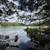 Incredible one-of-a-kind property, featuring 120 acres! 18 thumbnail