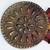 Vintage Leather Belt - Korean Brass Horse Medallions - Unusual! 6 thumbnail