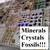 Gem Amethyst Rock Fossil Mineral for Sale 4 thumbnail
