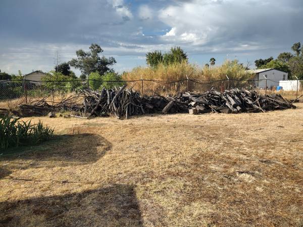 4+ cords of firewood 1