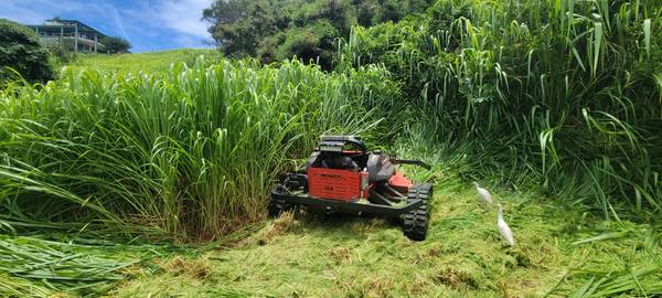Slopes mowing/Pasture clearing 1