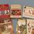 ANIMAL BOOKS, Many Cat, Kitten books 3 thumbnail