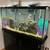 55 gallon aquarium with stand, fish, and light 4 thumbnail