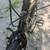 DENALI GMC road bike 5 thumbnail