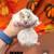 Hamsters 23 thumbnail