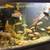Aquarium fishes/ African cichlids 4 thumbnail
