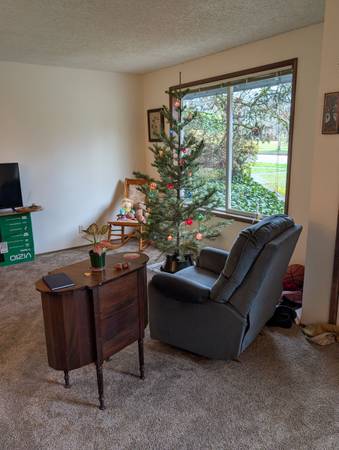 I'm looking for a kind female roommate 1