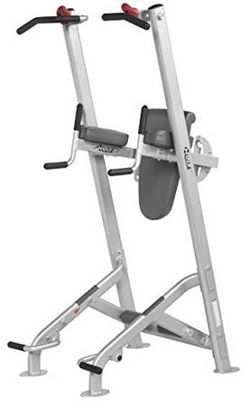 Wanted: Hoist Fitness Tree Pullup Bar Dip Ab Tower 1