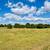 6± Acres with Home & Iprovements; 272± Acres Grassland/Timber - 3 Trac 16 thumbnail