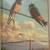 1933 Traveling with the Birds 12 Walter Alois Weber Illustrations 10 thumbnail