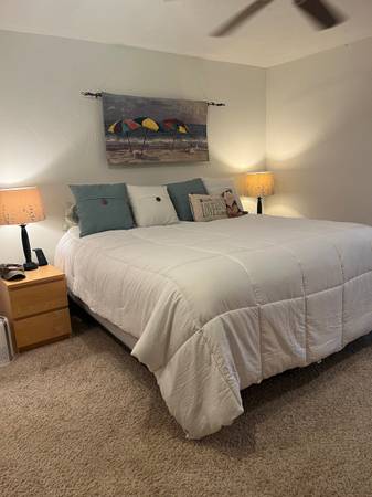$1,275 / 1br - Fully Furnished Condo , Short-term okay (Central City Indian Lake)64048767184769123