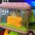 Fisher Price learning shapes, colors 5 thumbnail
