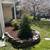 DNG LANDSCAPING,MULCH,TRIMMING,SOD INSTALLATION🌳TREE SERVICE 📞301-272-5481 20 thumbnail