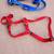 Dog collars 3 thumbnail