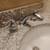 PLUMBING * PLUMBER * PLOMERO * PLOMERIA * DRAIN CLEANING 7 thumbnail