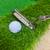 Odyssey white hot putter 8 thumbnail