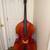 Roma 360 3/4 Upright Bass 2 thumbnail