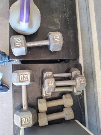 Free Weights under $1 per pound 1