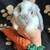 Mini Lop 4 thumbnail