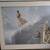 DISCOUNT SUNDAY Art Lovers Estate Sale by Hammydownz in Aptos 16 thumbnail