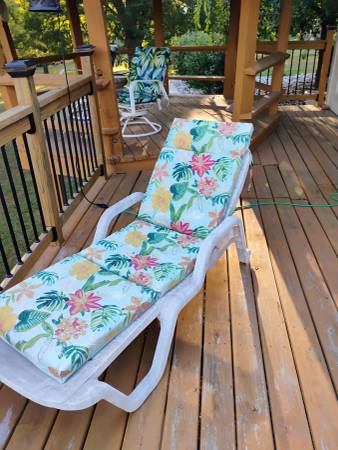 Lawn recliner with cushion 1