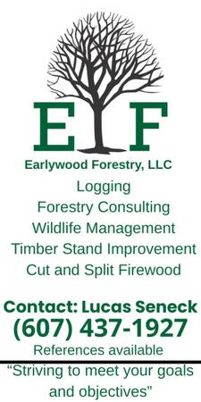 Logging, Firewood, Forestry 1