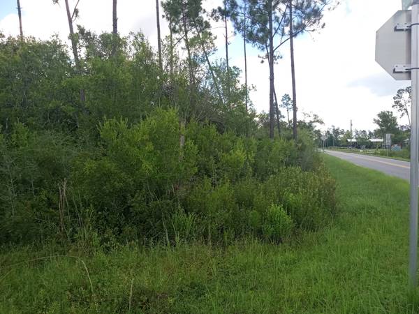 $60,000 1 acre corner lot on borders rd and Jarrett Daniels (Wewahitchka)63487602803713123