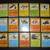 Pokemon Cards 2 thumbnail