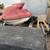 Yamaha XL 1200 Limited 3 Seater with 37 orig hours & nice 2 plc trlr 16 thumbnail