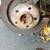 Mobile Mechanic Maintenance and Repair Technician 3 thumbnail