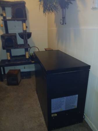 ❄️Arctic King Deep Freezer❄️ 1