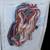 Dimensions NO Count Cross Stitch Kit Freedom Eagle by Peter Kull 3 thumbnail
