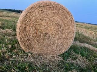 Rye Straw Bales 4' x 5 1/2'  Net Wrapped 1