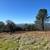 80 Acres with Fantastic Valley Views Lake Oroville Area 8 thumbnail