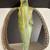 Vintage Sooner glass swan bowl centerpiece 4 thumbnail