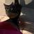 Missing Cat 6 thumbnail