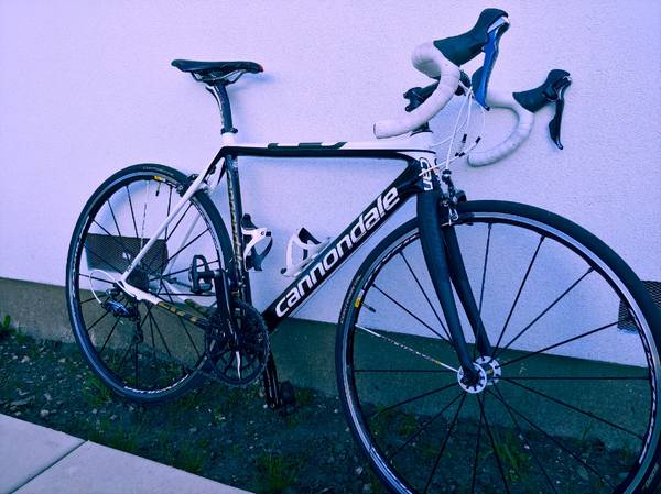 2013 Cannondale Evo Hi-Mod 51cm 1
